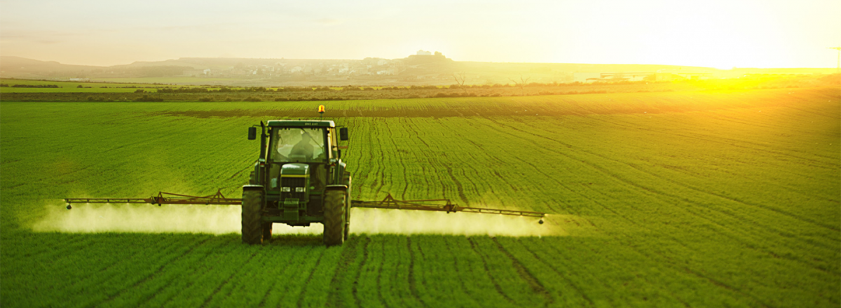 Pesticide chemicals